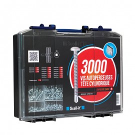 Coffret 3000 vis autoperceuces